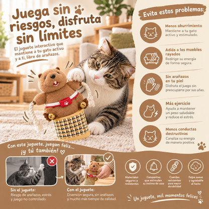 Guante de juego para gatos anti-arañazos