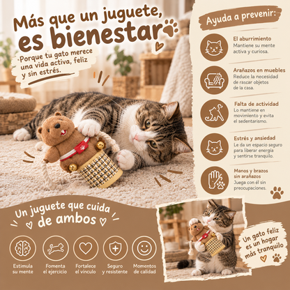 Guante de juego para gatos anti-arañazos